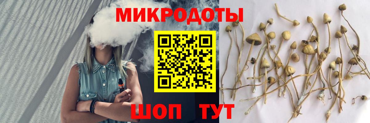 Псилоцибиновые грибы GOLDEN TEACHER  купить закладку  Вход с VPN  Пугачёв  Псилоцибиновые грибы GOLDEN TEACHER 